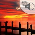 Meditations mp3 download - Tomhed - Emptiness